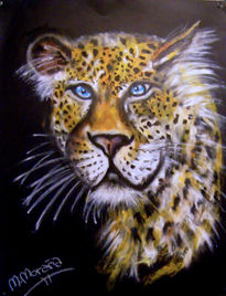 Leopardo