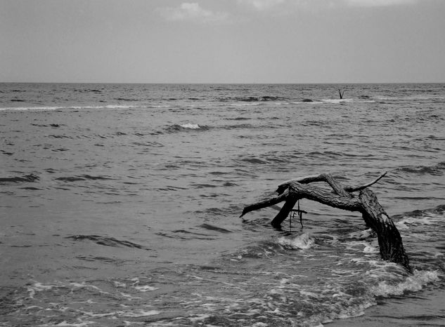 The force of the sea Nature Black and White (Digital)