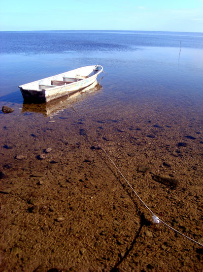 Solitude in the vastness Viajes Color (Digital)