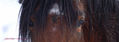 mirada