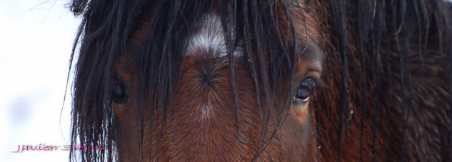 mirada Naturaleza Color (Digital)