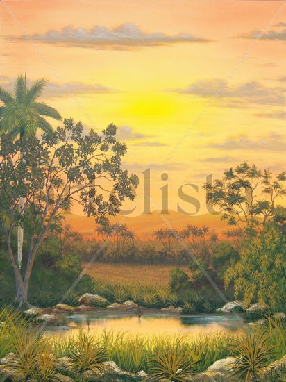 LUZ Y COLOR DE UN ATARDECER Acrylic Canvas Landscaping