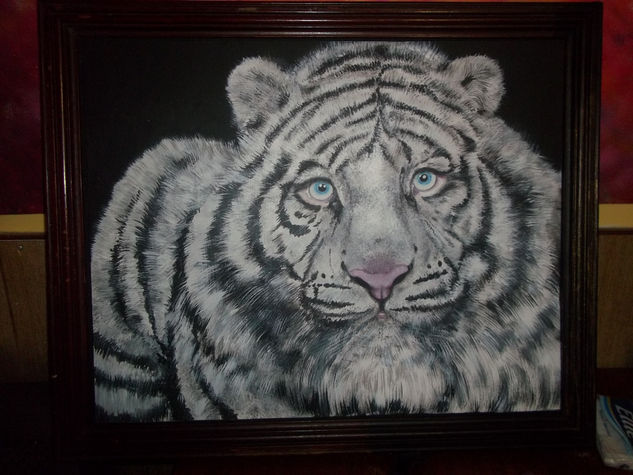 tigre blanco Acrylic Panel Animals