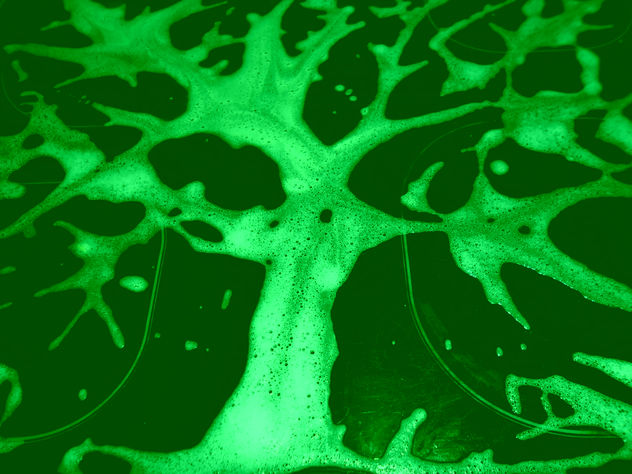 COMPOSICION VLAS EN VERDE.