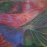 Liliana Dvrant thumbnail 2
