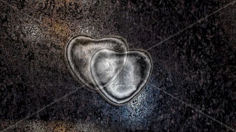 Two Hearts