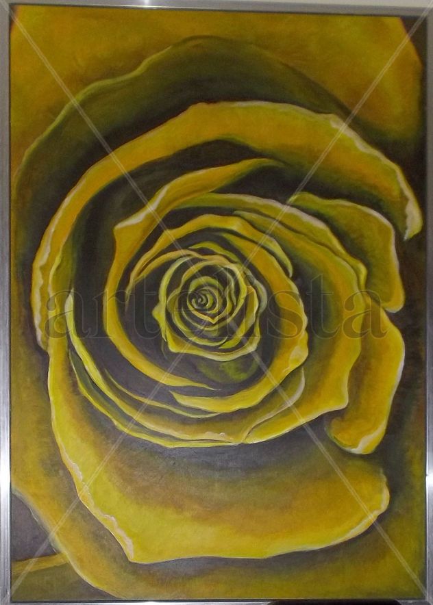 Rosa