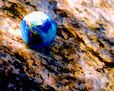 The Blue Marble/ La Canica Azul