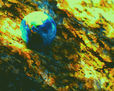 The Blue Marble/ La Canica Azul.N°1