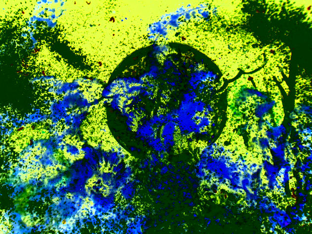 COMPOSICION VLAS.LUNA 2012