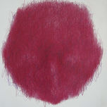 Portrait transformation thumbnail 2
