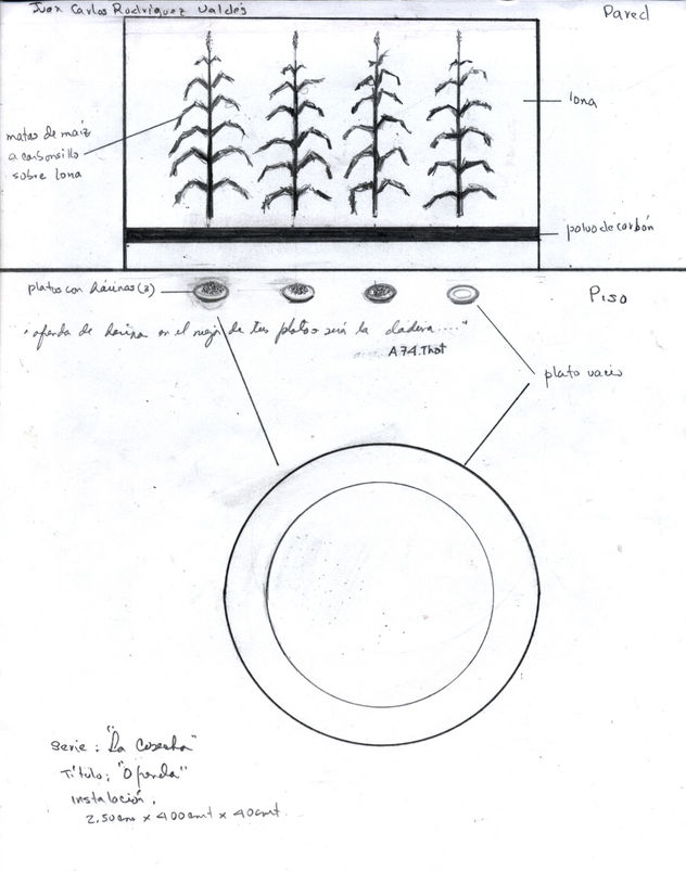 bocetos, cosecha, papel 5