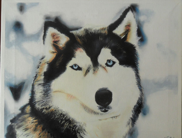 Husky Oil Canvas Animals