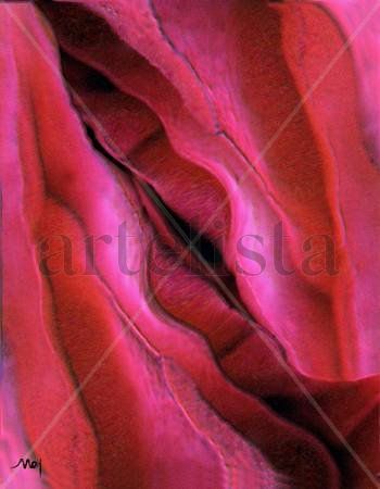 Rosa 2