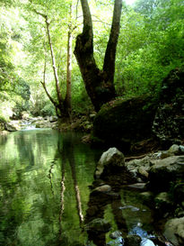 Paseo por el Río...