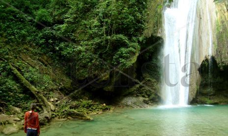 VIDA :: Verde Agua