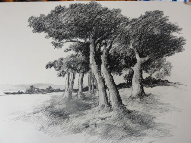 LA ARBOLEDA - GROVE Charcoal