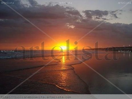Reflejos de sol
