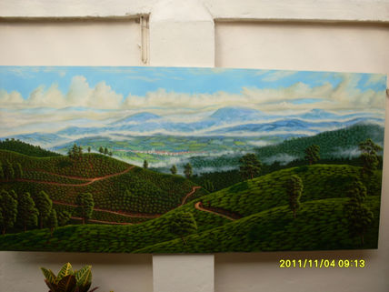 Zona cafetera