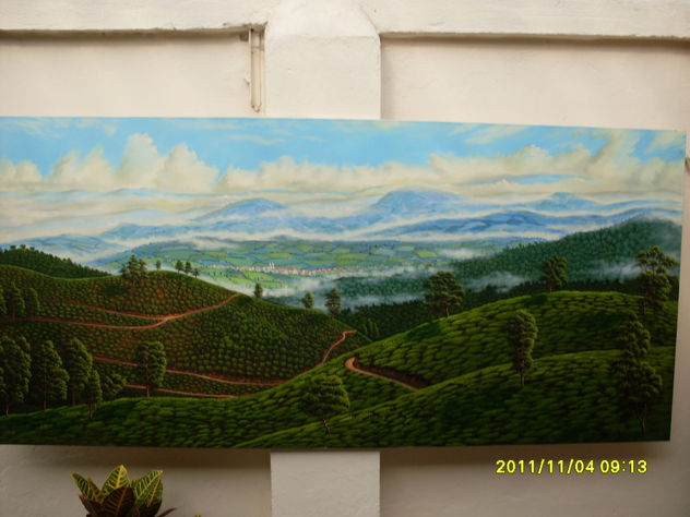 Zona cafetera
