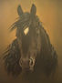CABALLO TRUENO DE DOCE