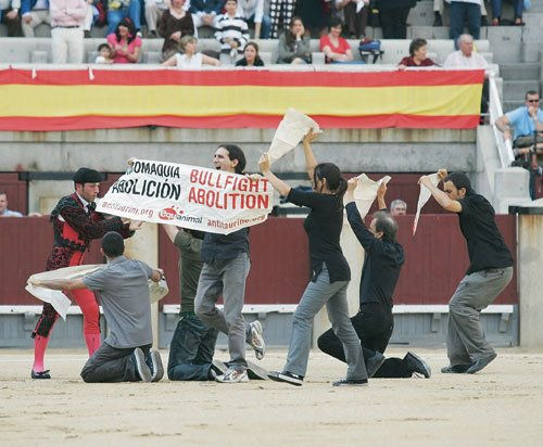 SALTO AL RUEDO | TAUROMAQUIA ABOLICION Photojournalism and Documentary Color (Manual)