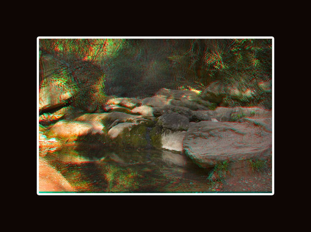 Fotografía naturaleza 3D