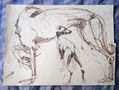 galga II