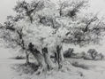 PAISAJE - LANDSCAPE - PAYSAGE
