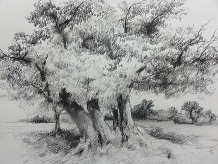 Paisaje - landscape...