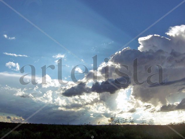 BIENAL Premio Federal 2008 II. Destello Celestial. Naturaleza Color (Digital)