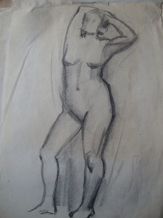 modelo