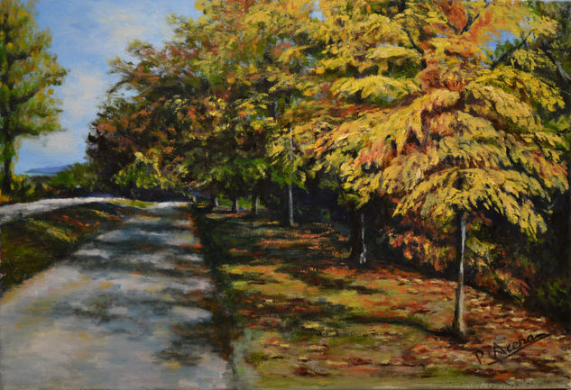 paseo del Arga, Navarra Oil Canvas Landscaping