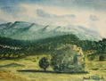 La Nava