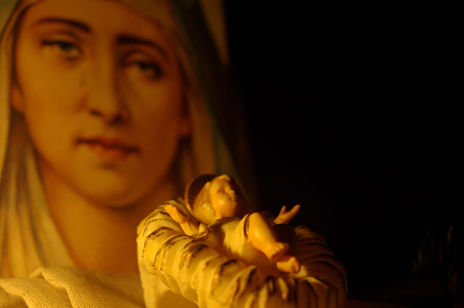 "Bajo la mirada de...