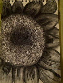 Girasol