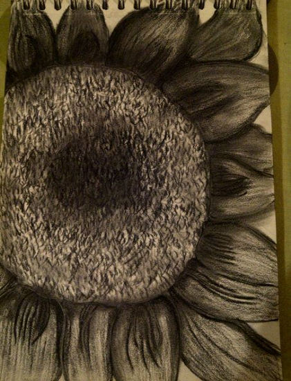 Girasol Pencil (Black) Paper Floral Painting