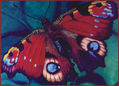 Mariposa/de la serie mariposas