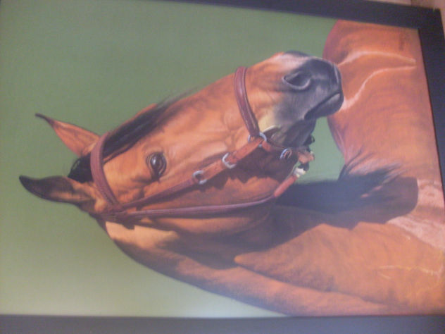 caballo