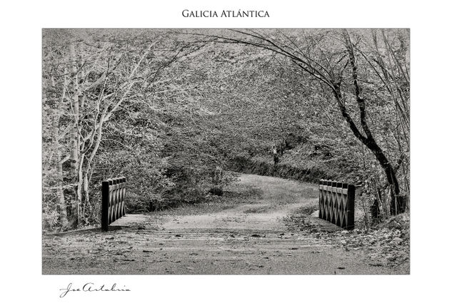 Incantation Naturaleza Blanco y Negro (Digital)