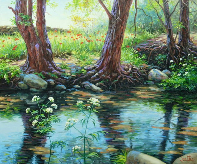 Arroyo en Valdeascas Oil Canvas Landscaping