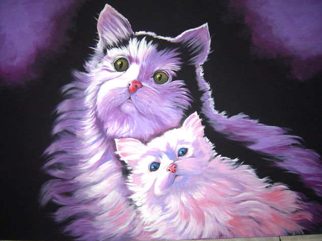 gatos