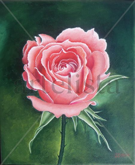 Rosa Oil Canvas Floral Painting