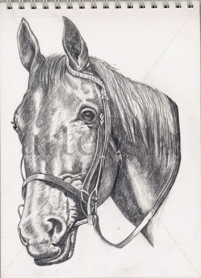 caballo Graphite