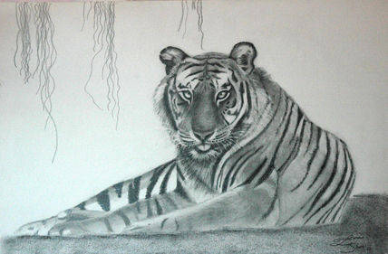 Tigre