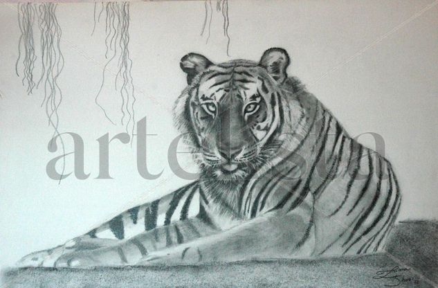 Tigre Pencil