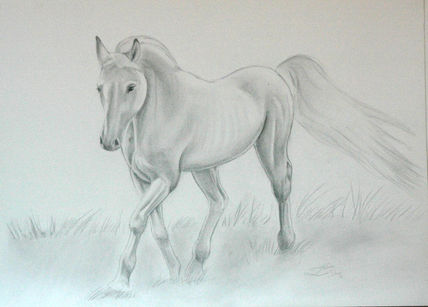 Caballo blanco