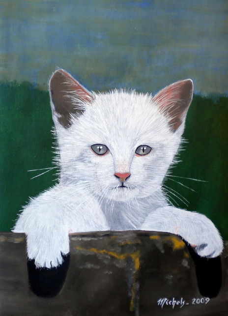 Un chaton