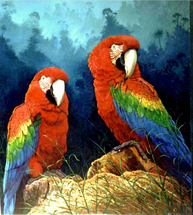 guacamayas