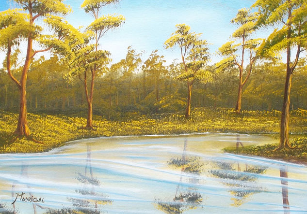 Reflejos en el agua Oil Canvas Landscaping